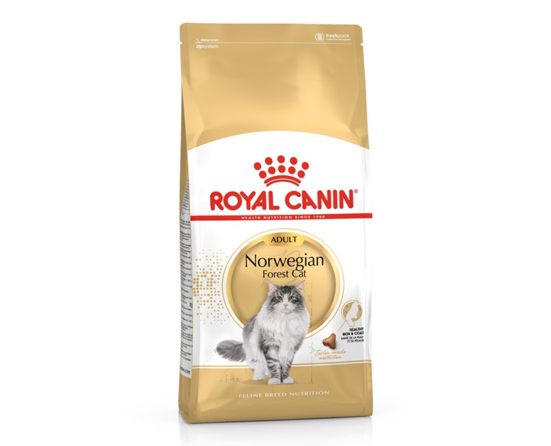 Royal Canin Feline Breed Nutrition Norwegian Forest