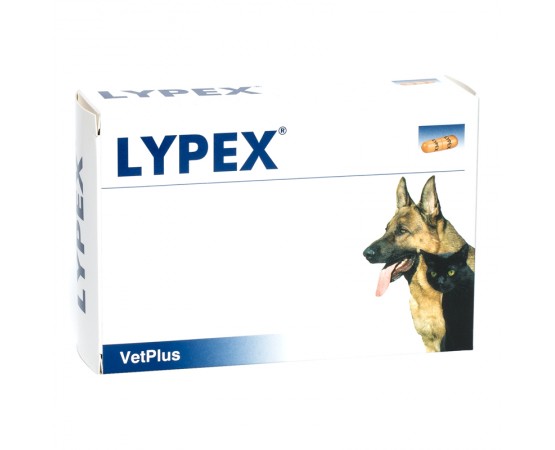 Lypex® 60 Streu-Kapseln