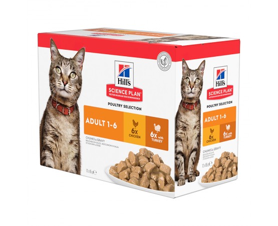 Hill's Science Plan Cat Adult Nassfutter Multipack Huhn & Truthahn 4 x 12 x 85g