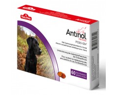 ANTINOL für Hunde, 60 Weichkapseln