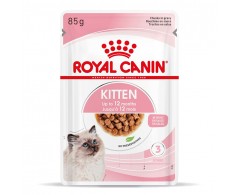 Royal Canin Feline Health Nutrition Kitten Stücke in Sauce 4 x 12 x 85 g