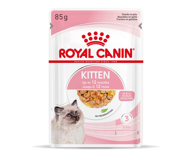 Royal Canin Feline Health Nutrition Kitten Stücke in Gelee 4 x 12 x 85 g