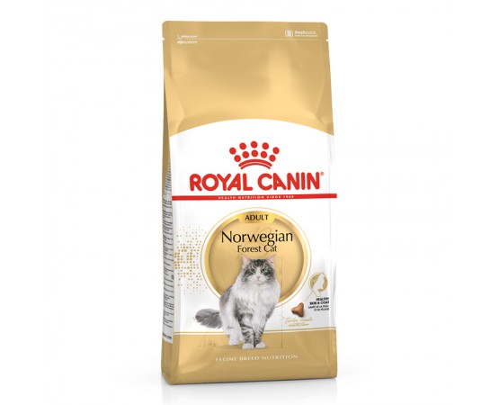 Royal Canin Feline Breed Nutrition Norwegian Forest