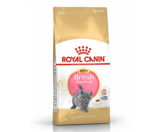 Royal Canin Feline Breed Nutrition British Shorthair Kitten